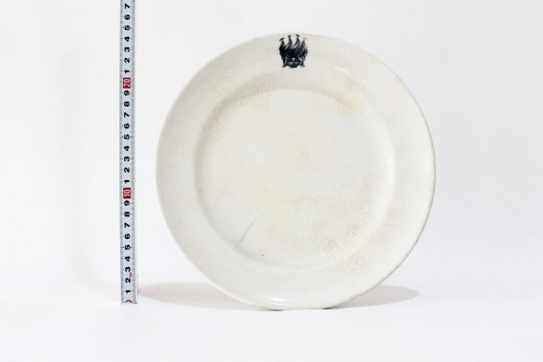 ubpnplate1