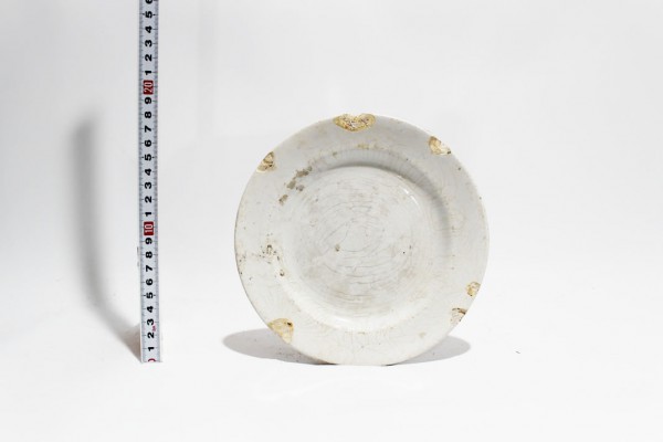 ubpnplate2